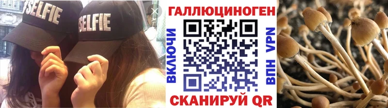 Купить  Ворсма  Галлюциногенные грибы прущие грибы 